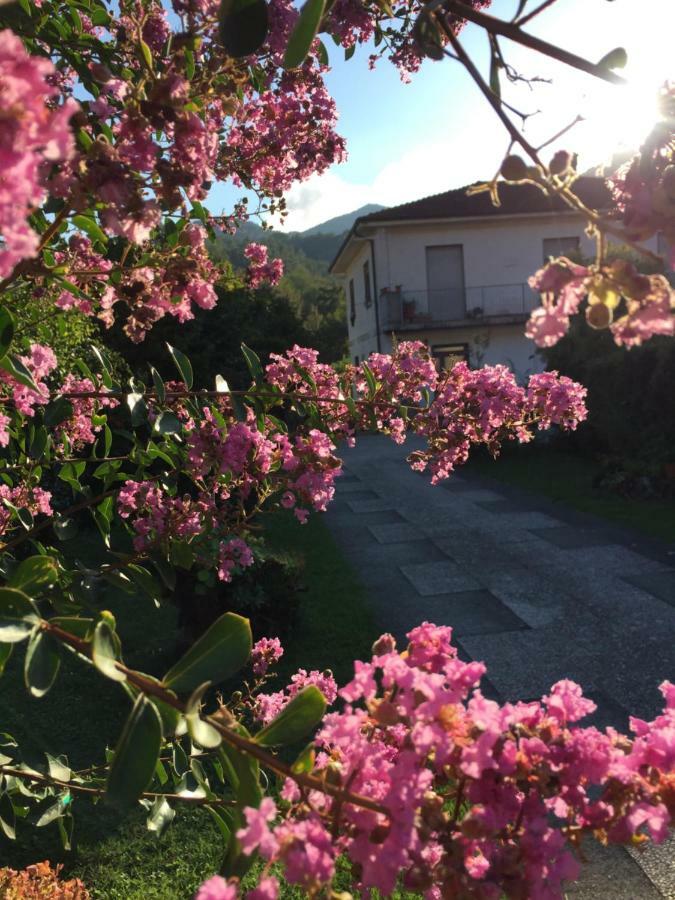 リッコ・デル・ゴルフォ・ディ・スペーツィアLa Magnoliaアパートメント エクステリア 写真