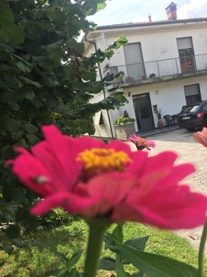 リッコ・デル・ゴルフォ・ディ・スペーツィアLa Magnoliaアパートメント エクステリア 写真